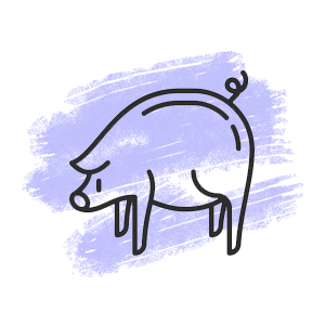 Chinese Pig Zodiac Sign