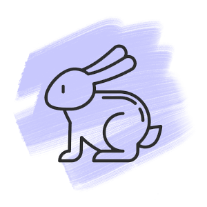 Chinese Rabbit Zodiac Sign